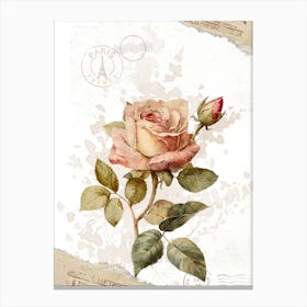 Vintage Rose Canvas Print