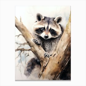 Raccoon Woodland Watercolour 3 Canvas Print