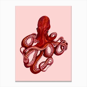 Octopus On Pink Canvas Print