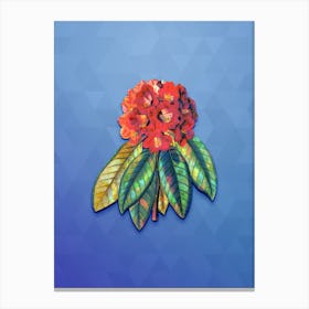 Vintage Rhododendron Rollissonii Botanical Art on Blue Perennial n.1318 Canvas Print