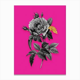 Vintage Pink French Rose Black and White Gold Leaf Floral Art on Hot Pink n.0023 Canvas Print