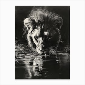 African Lion Charcoal Drawing Drinking From A Watering Hole 4 Canvas Print