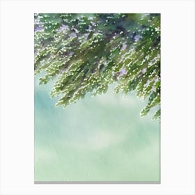 Acropora Austera Iii Storybook Watercolour Canvas Print