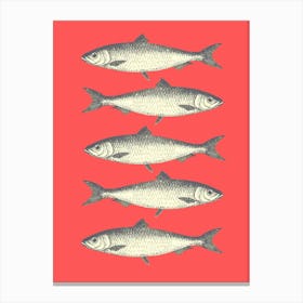 Sardines - Red Canvas Print