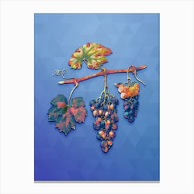 Vintage Summer Grape Botanical Art on Blue Perennial n.1287 Canvas Print