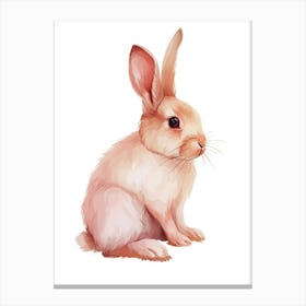 Satin Rabbit Kids Illustration 2 Canvas Print