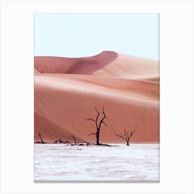 Ancient Forest Namibia Canvas Print