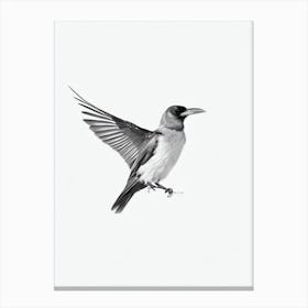 Raven B&W Pencil Drawing 2 Bird Canvas Print