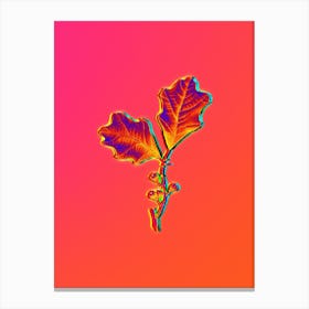Neon Bear Oak Leaves Botanical in Hot Pink and Electric Blue n.0149 Canvas Print
