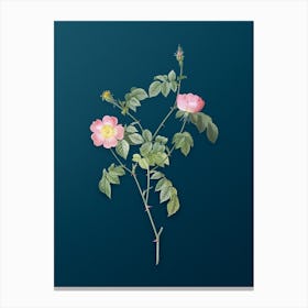 Vintage Pink Austrian Copper Rose Botanical Art on Teal Blue n.0167 Canvas Print