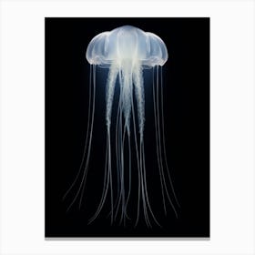 Box Jellyfish Luminous 3 Canvas Print