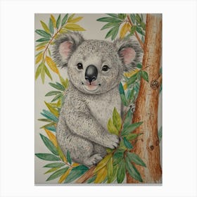 Koala 26 Canvas Print