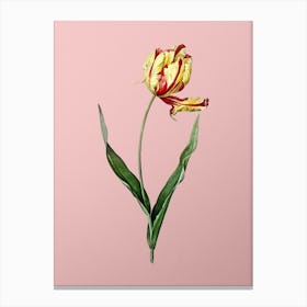 Vintage Didier's Tulip Botanical on Soft Pink n.0132 Canvas Print