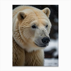 Polar Bear 3 Canvas Print