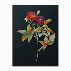 Vintage Van Eeden Rose Botanical Watercolor Illustration on Dark Teal Blue n.0430 Canvas Print