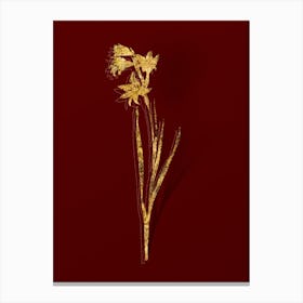 Vintage Painted Lady Botanical in Gold on Red n.0094 Canvas Print