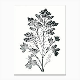 Lovage Herb William Morris Inspired Line Drawing 2 Canvas Print