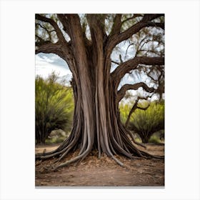 Tree Of Life Canvas Print