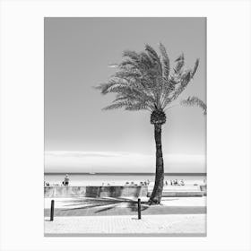 Palm Tree On The Beach Black and White Canvas Print