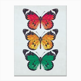 Butterflies 1 Canvas Print