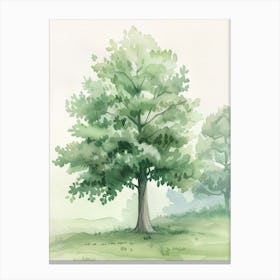 Linden Tree Atmospheric Watercolour Painting 3 Canvas Print