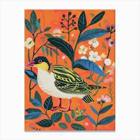 Spring Birds Bufflehead 1 Canvas Print