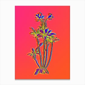 Neon Lily of the Incas Botanical in Hot Pink and Electric Blue Canvas Print