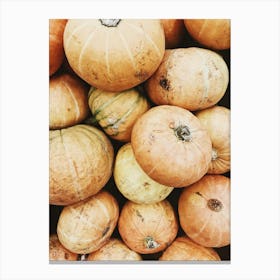 Pumpkins 2 Canvas Print