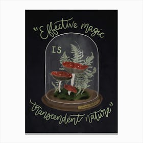 Transcendant Nature - Magic Mushrooms Canvas Print
