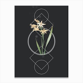 Vintage Gladiolus Cuspidatus Botanical with Geometric Line Motif and Dot Pattern n.0337 Canvas Print