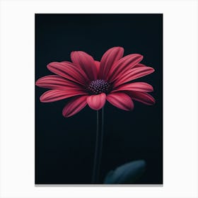 Gerbera Daisy 10 Canvas Print