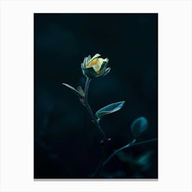 Dark Rose 176 Canvas Print