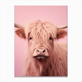Cute Photographic Portrait Of Pastel Pink Highland Cow 1 Canvas Print