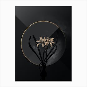 Shadowy Vintage Sea Daffodil Botanical on Black with Gold n.0042 Canvas Print