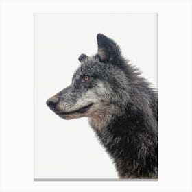 Black Wolf Canvas Print