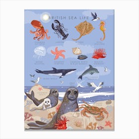British Sea Life Canvas Print