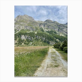 A Dog in Switzerland Canvas Print