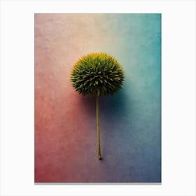 Flower Canvas Print