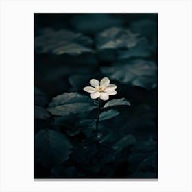 Single White Flower 4 Canvas Print