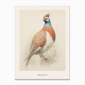 Vintage Bird Drawing Pheasant 1 Poster Canvas Print