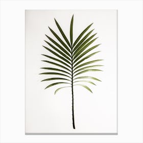 Jurassic Cycad Recovered Canvas Print
