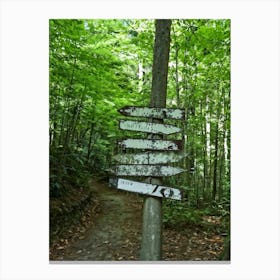 Directional Signs Placed Strategically Along A Winding Forest Path Guide The Observer Through Deci (2) Canvas Print