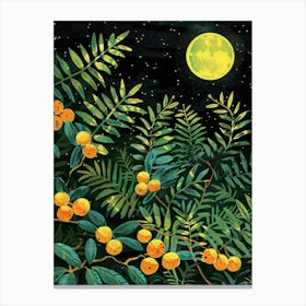 Night In The Garden Canvas Print