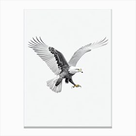 Eagle B&W Pencil Drawing 2 Bird Canvas Print