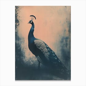 Peacock In The Wild Cyanotype Inspired 2 Canvas Print