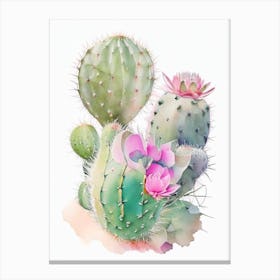 Parodia Cactus Pastel Watercolour Canvas Print