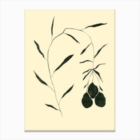 Black And White Fruits Hanging Canvas Print