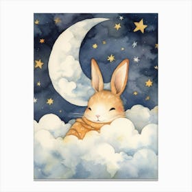 Baby Bunny 1 Sleeping In The Clouds Canvas Print