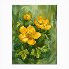 Yellow Potentilla Flowers Canvas Print