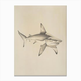 Dogfish Shark Vintage Illustration 6 Canvas Print